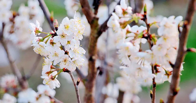 前方到站——国家3A级景区:泸县“道林沟”(图9) 9.jpg