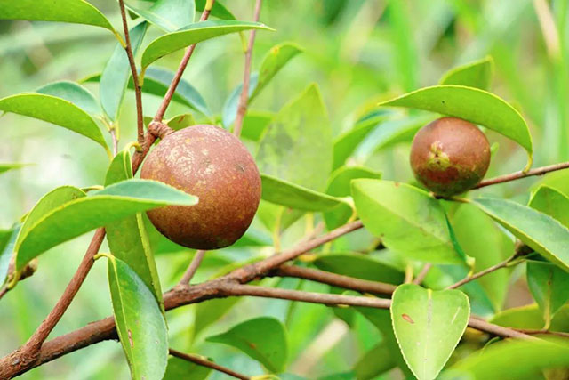 前方到站——国家3A级景区:泸县“道林沟”(图25) 25.jpg