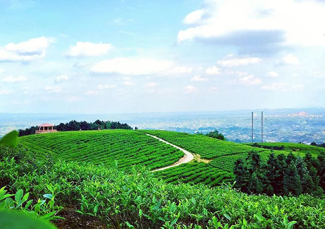 前方到站——国家3A级景区:泸县“道林沟”(图14) 14.jpg