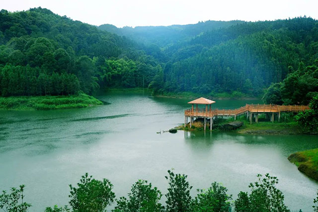 前方到站——国家3A级景区:泸县“道林沟”(图17) 17.jpg