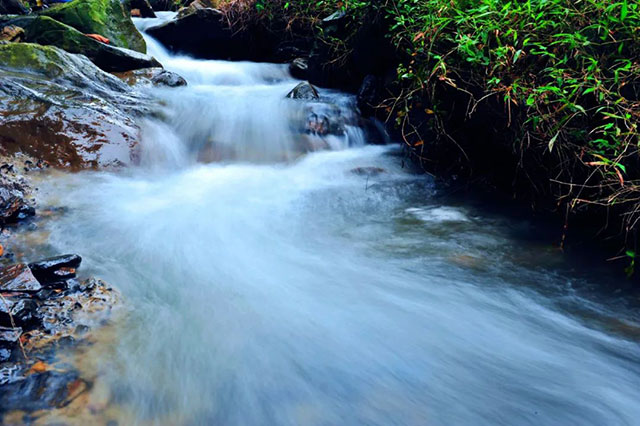 前方到站——国家3A级景区:泸县“道林沟”(图18) 18.jpg