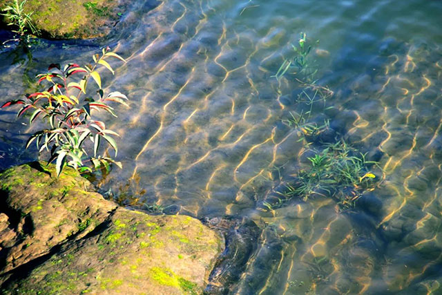 前方到站——国家3A级景区:泸县“道林沟”(图32) 32.jpg