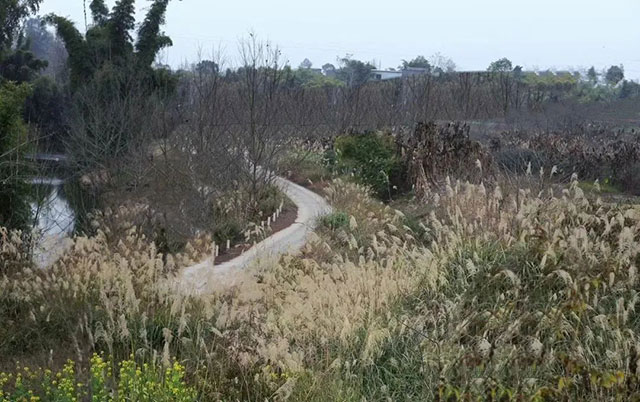 前方到站——国家3A级景区:泸县“道林沟”(图36) 36.jpg