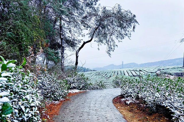 前方到站——国家3A级景区:泸县“道林沟”(图39) 40.jpg