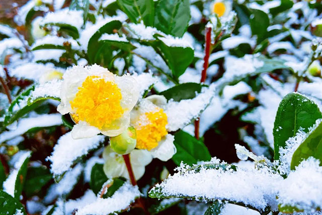 前方到站——国家3A级景区:泸县“道林沟”(图41) 42.jpg