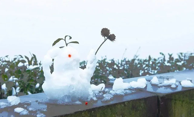 前方到站——国家3A级景区:泸县“道林沟”(图44) 45.jpg