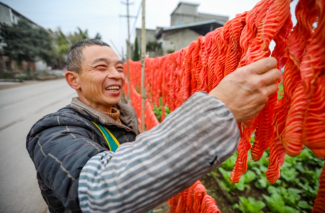 除了灯上画的、土里藏的,自贡还有条“舌尖上的龙”(图3) 龙3.jpg