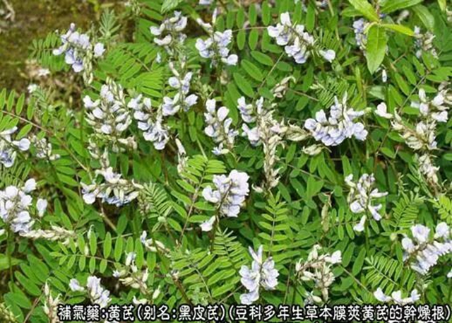 微信图片_20240219092801.jpg