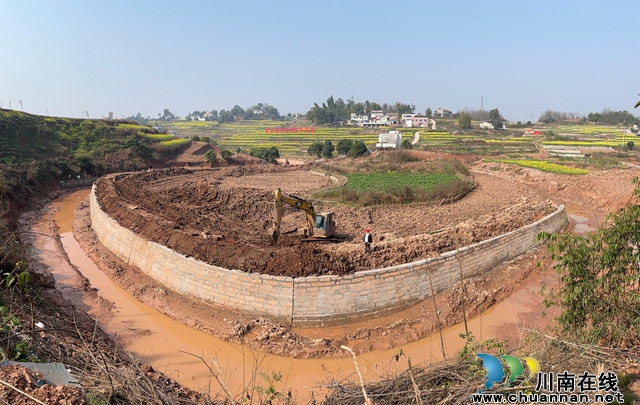 龙马潭：水稻将“进”高标田，撸起袖子加油干！