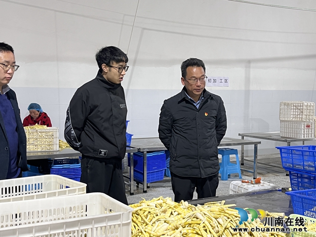 新春复工鼓干劲,优化环境助发展|叙永县黄坭镇领导走访企业和人才共谋发展(图2) 微信图片_20240222145716.jpg