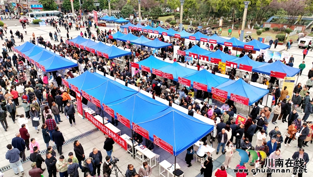 “春风”送岗位 惠民细无声｜合江县举办2024年“春风行动”暨泸永江融合发展示范区招聘会