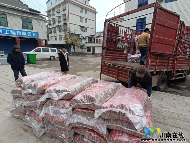 宜宾市南溪区长兴镇：备战春耕 万亩高粱种子免费送