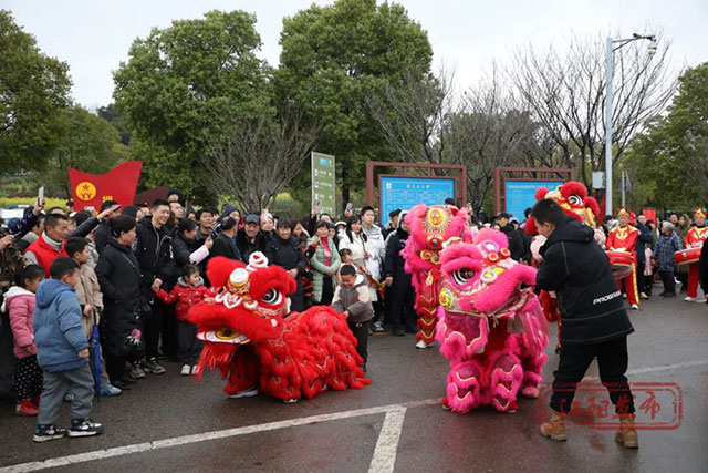 从地上闹热到“天上”!烟火江阳璀璨元宵,主打一个最“龙”年味!(图10) 10.jpg