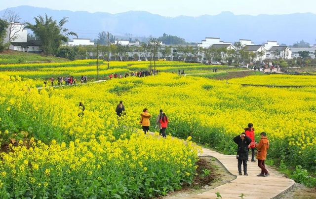 春天到这里,邂逅万亩花海!小吃街、侏罗纪恐龙展、音乐节等你来体验→(图2) 2.jpg
