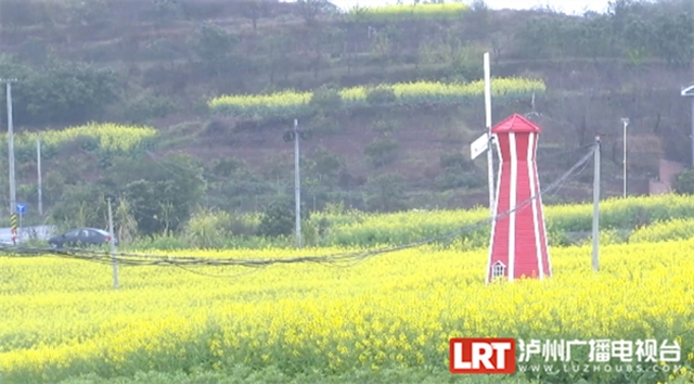 春天到这里,邂逅万亩花海!小吃街、侏罗纪恐龙展、音乐节等你来体验→(图10) 10.jpg