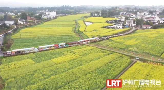 春天到这里,邂逅万亩花海!小吃街、侏罗纪恐龙展、音乐节等你来体验→(图12) 12.jpg