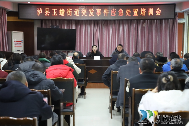 泸县玉蟾街道组织召开突发事件应急处置培训会