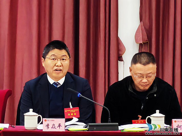 nEO_IMG_县人大代表李焱平在代表团审议会上发言.jpg