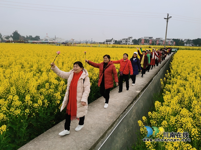泸县老体协乒羽分会举行“庆三八、赏菜花、健步走”活动