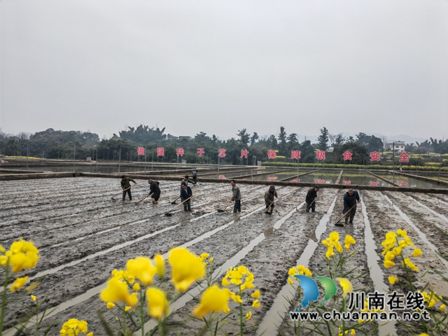 泸县：培新选优助增产 试验田育秧正当时