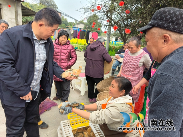 龙马潭区鱼塘街道：乡贤赠鸡苗，助力乡村振兴