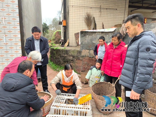 龙马潭区鱼塘街道:乡贤赠鸡苗,助力乡村振兴(图3) 3.jpg