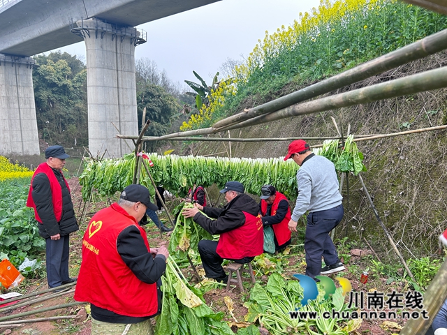 龙马潭区鱼塘街道民主社区：春风三月暖人心，学习雷锋正当时