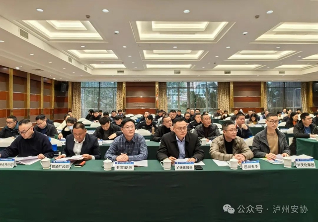 创新谋发展 同心筑未来|泸州市安全生产协会第三届五次会员大会圆满召开(图5) 安5.jpg