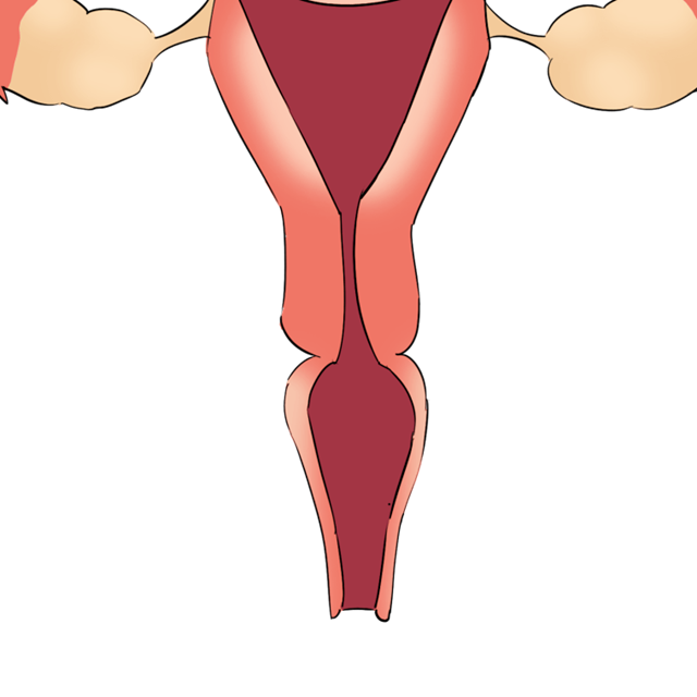 【关注】男人会有的,二胎也会有的……(图14) 微信图片_20240308094404.png