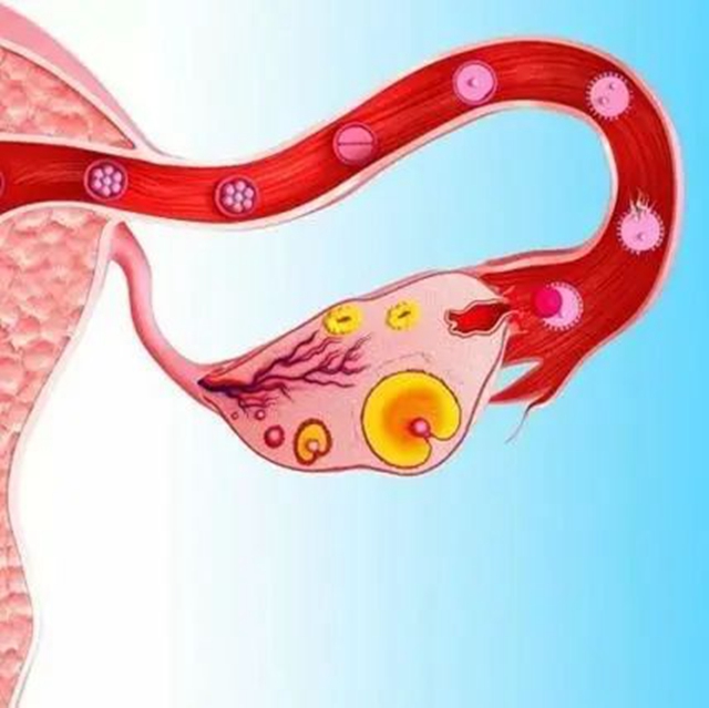 【关注】男人会有的,二胎也会有的……(图17) 微信图片_20240308094417.jpg