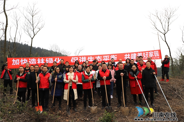 泸县天兴镇：春回大地添新绿，植树造林正当时