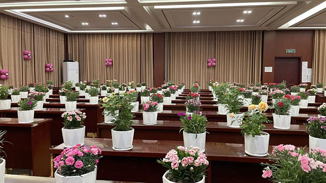 致敬了不起的她 | 泸州各校园这样送祝福(图40) 40.jpg