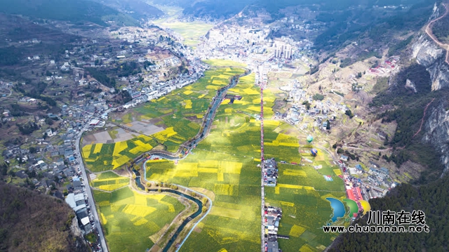 【创建天府旅游名县】共赴金色之约,同赏春日芳华!古蔺双沙第十五届菜花节开幕(图1) 1.jpg