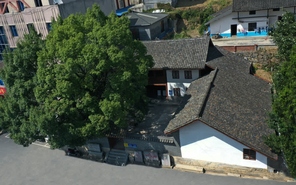 【创建天府旅游名县】共赴金色之约,同赏春日芳华!古蔺双沙第十五届菜花节开幕(图11) 11.jpeg