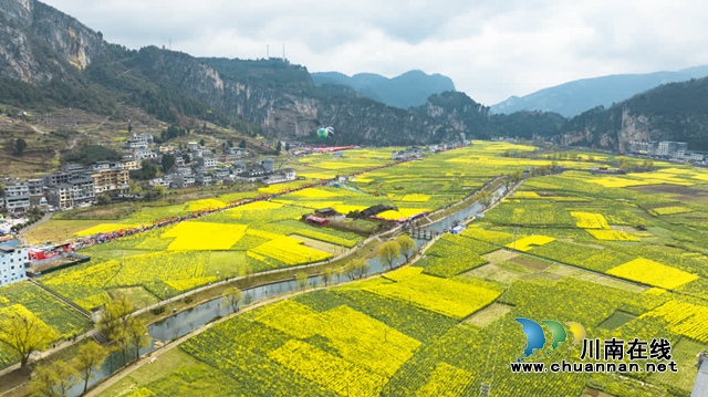 【创建天府旅游名县】共赴金色之约,同赏春日芳华!古蔺双沙第十五届菜花节开幕(图12) 12.jpg