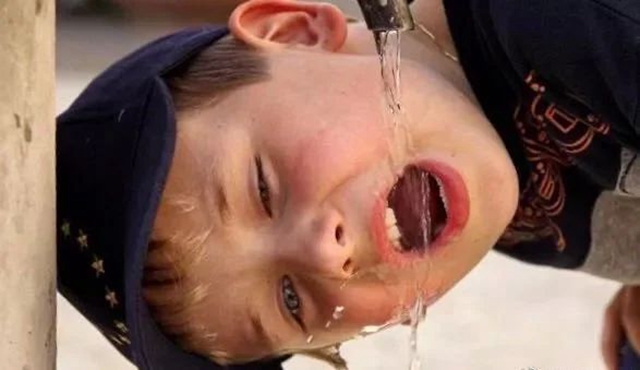 【警惕】这些症状注意,数小时内可死亡……(图6) 微信图片_20240311094834.jpg