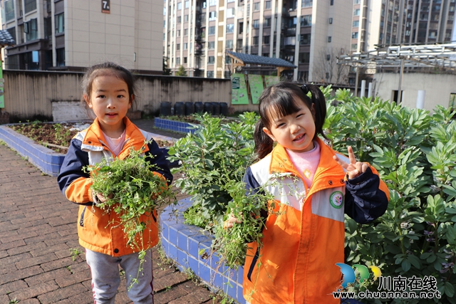 叙永县永宁幼儿园开展“让爱萌芽，绿色‘童’行”主题活动