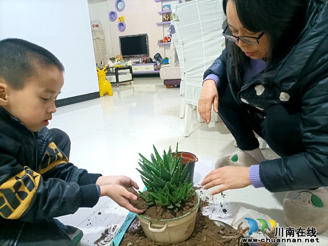 叙永银顶小学开展系列植树节主题教育活动