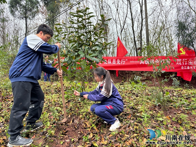 合江县九支中学开展植树节活动