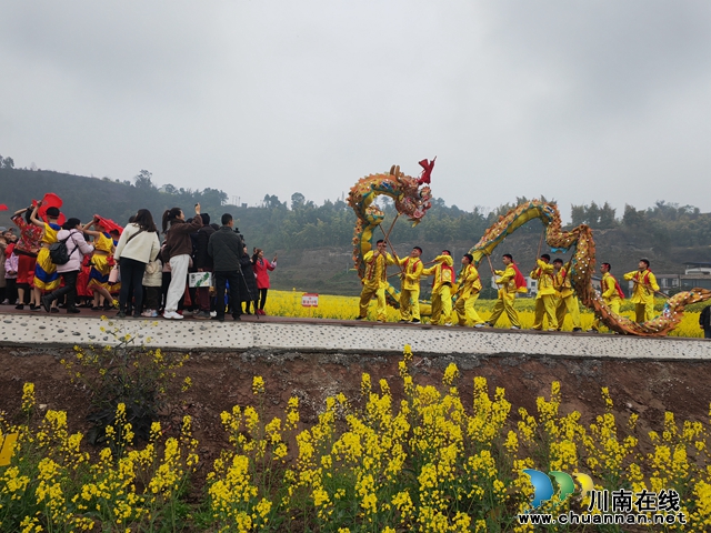 泸县：油菜花开春意浓 农旅融合促振兴