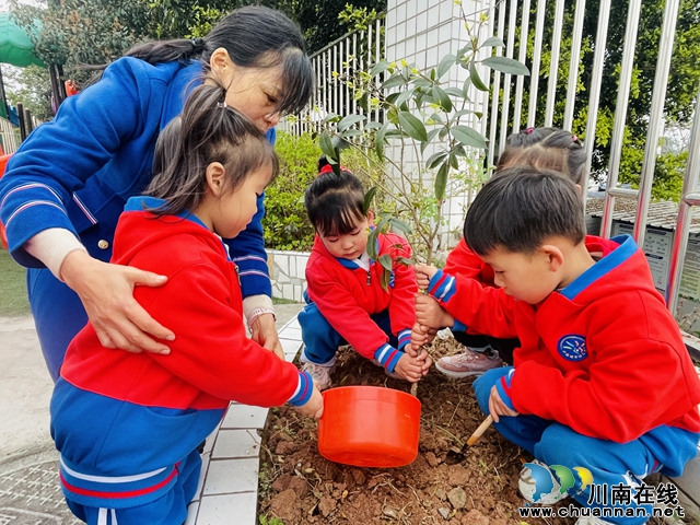 泸县城东幼儿园青龙分园开展“小手添新绿”植树节活动