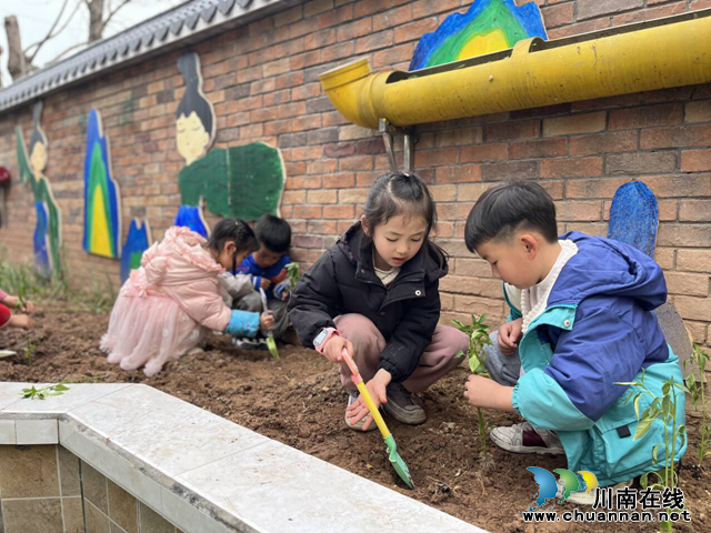 泸县城东幼儿园石岗分园开展“播撒新绿 溢满春天”种植活动