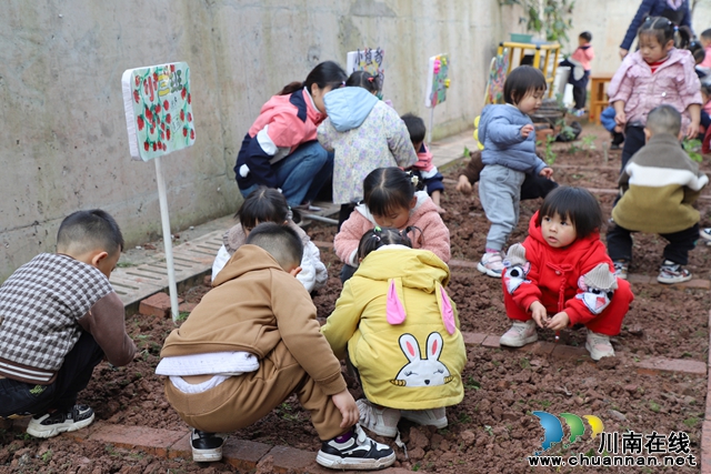 “植”守春色 孕育希望┃叙永县叙永镇东城幼儿园分园（阳光幼儿园）开展植树节活动