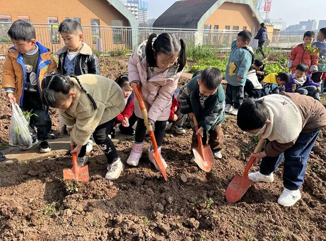 “植”此青绿 看泸州师生变身“绿化大师”