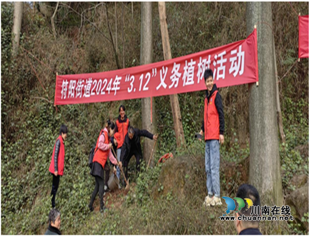 合江：义务植树齐心协力，法治宣传进村入户