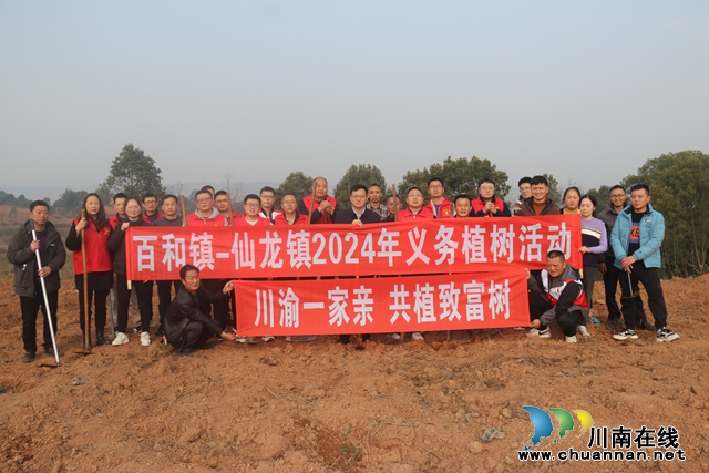 川渝一家亲 共植致富树丨泸县百和镇开展2024年义务植树节活动
