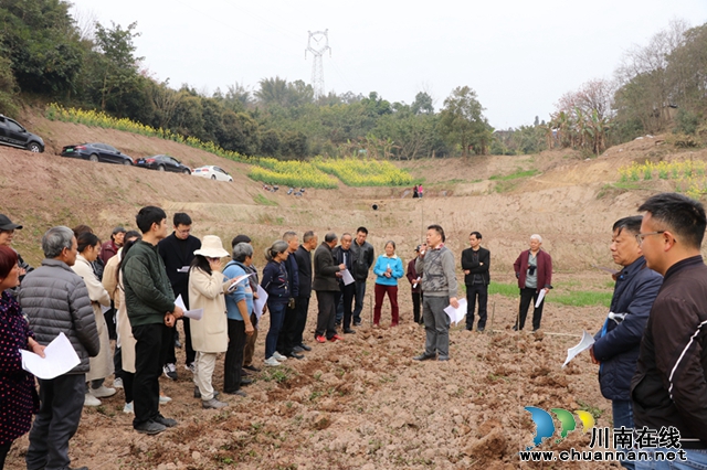 乡村振兴 | 龙马潭区鱼塘街道：开展农技培训 助力农民增产增收