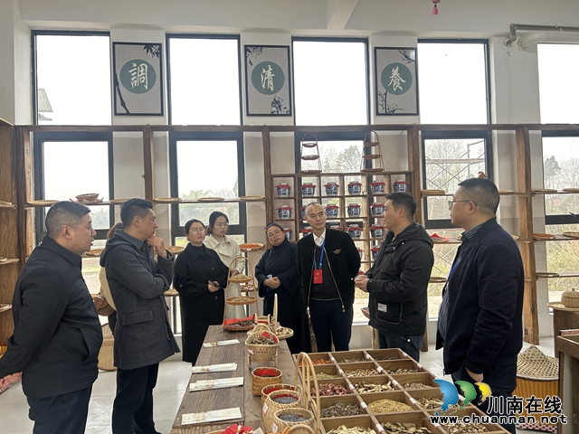 泸县百和镇、云锦镇政协委员联络站开展联合视察活动