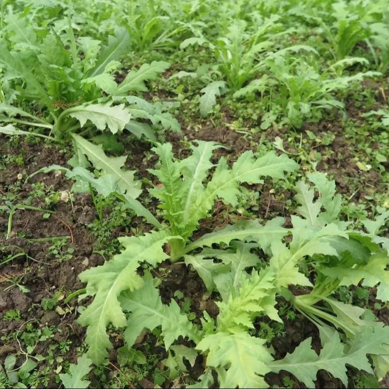 泸州举报娱乐场所、其它场所有这样系列行为的，奖金最高20万！