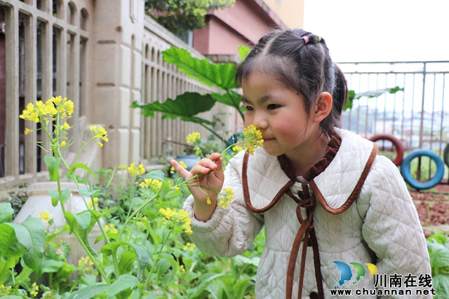知时节 晓春分丨叙永县叙永镇南城幼儿园开展春分节气主题活动